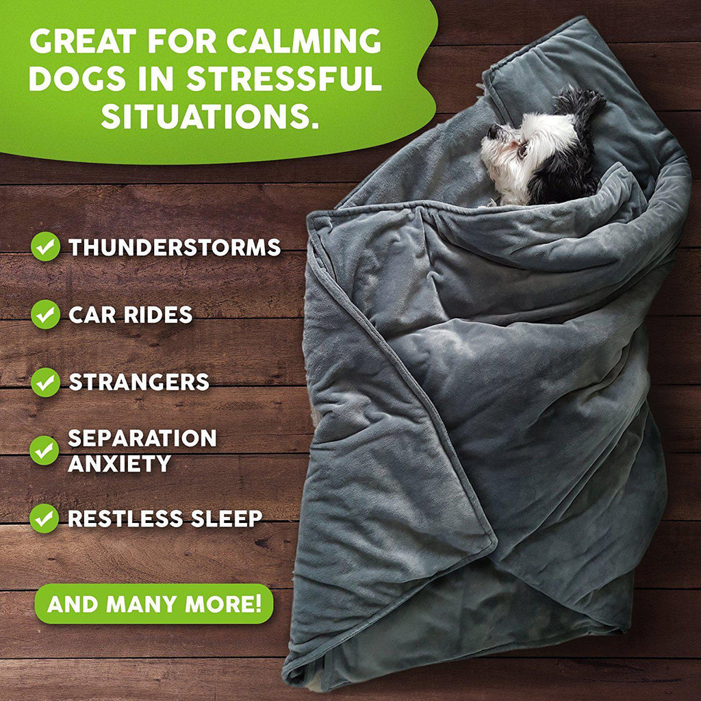 Are Weighted Blankets Good for Dogs with Anxiety? Experts Answer