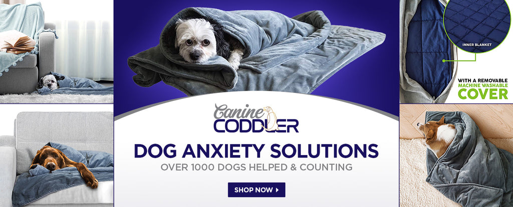 Canine shops coddler blanket